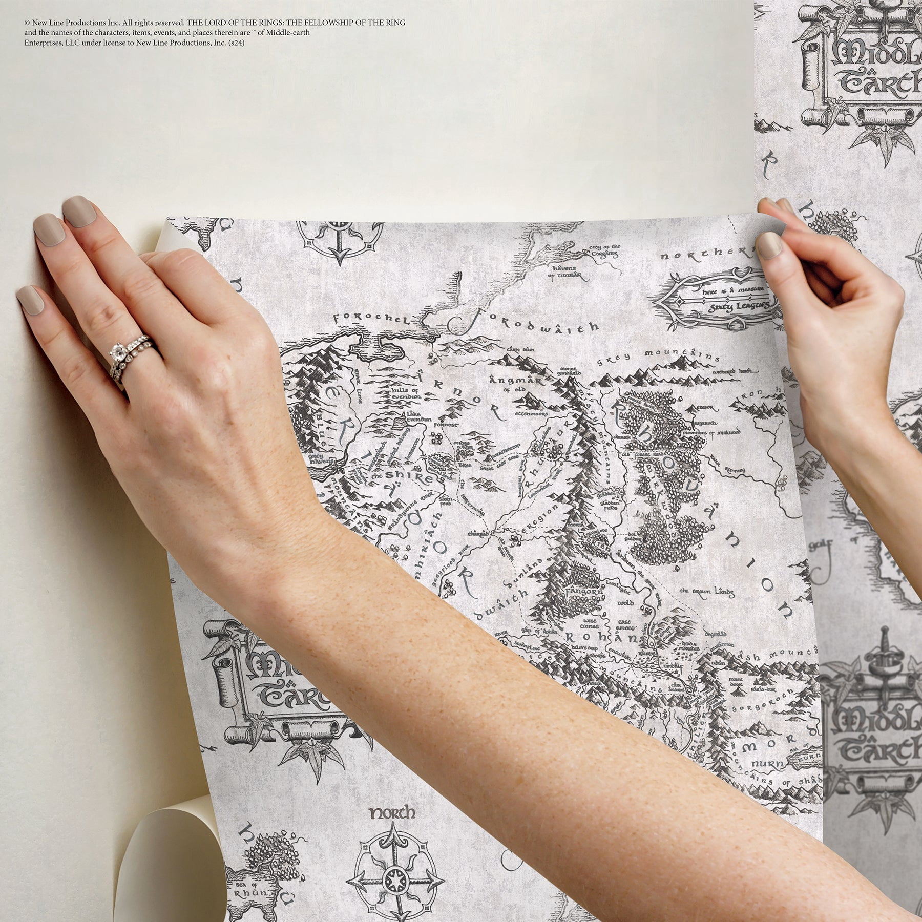 Lord of the Rings Middle Earth Map Peel & Stick Wallpaper
