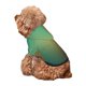 thumbnail image 5 of Fotbe Orange To Teal Gradient Sudadera con Estampado para Perros Pequeños – Suéter con Capucha para Mascotas, Tela Suave de Forro Polar con Bolsillo-Medium, 5 of 7