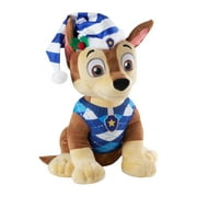 Chase Holiday Greeter-Nickelodeon