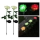 thumbnail image 4 of Lámparas solares con forma de rosa, impermeables, para jardín, iluminan el patio, regalo champán, 4 of 9