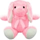 thumbnail image 1 of PELUCHERIA| Conejo de Peluche Everbear. Peluche de Conejo Animales de Peluche Suave, Esponjoso y Resistente. Tam: 23 cm. Elaborado en poliéster. (Pink), 1 of 5