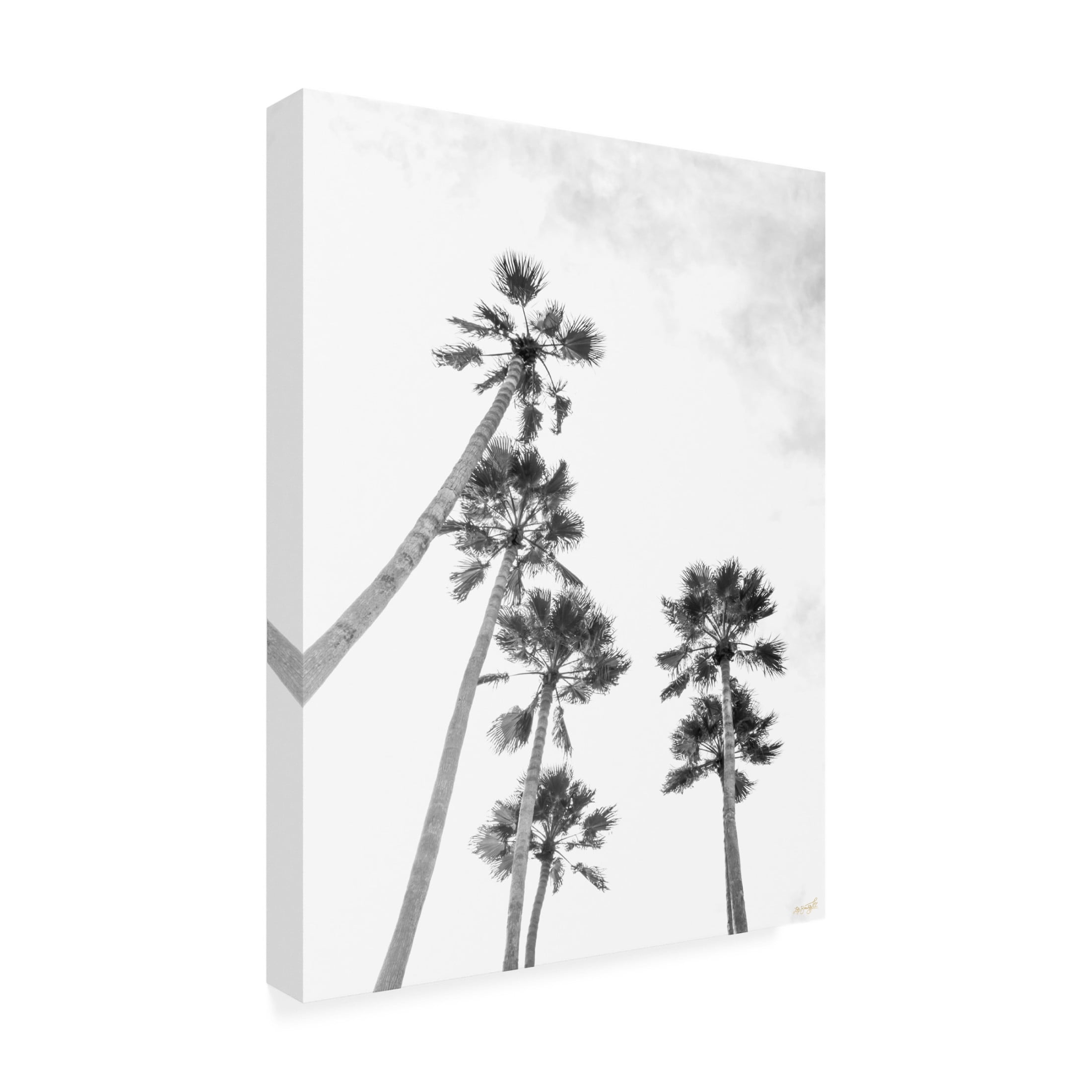 Canvas Wall Art - Life BeautifuLEE 'Palm To Skies' Wall Art for Living Room, Bedroom, or Office Décor by Trademark Fine Art - 18 x 24 Inches