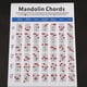 thumbnail image 2 of Mandolin Chord Chart Fingering Diagram Exercise Diagram Copper Plate Paper Chord Trainning Guide Fingering Practice Chart for Students Teacher (Small, 2 of 3