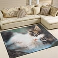 thumbnail image 2 of SKYSONIC Lightweight Carpet Mats Area Soft Rugs Floor Mat Rug Home Decoration for Kids Room Living Room 63 x 48 inches Kitten Staring, 2 of 6