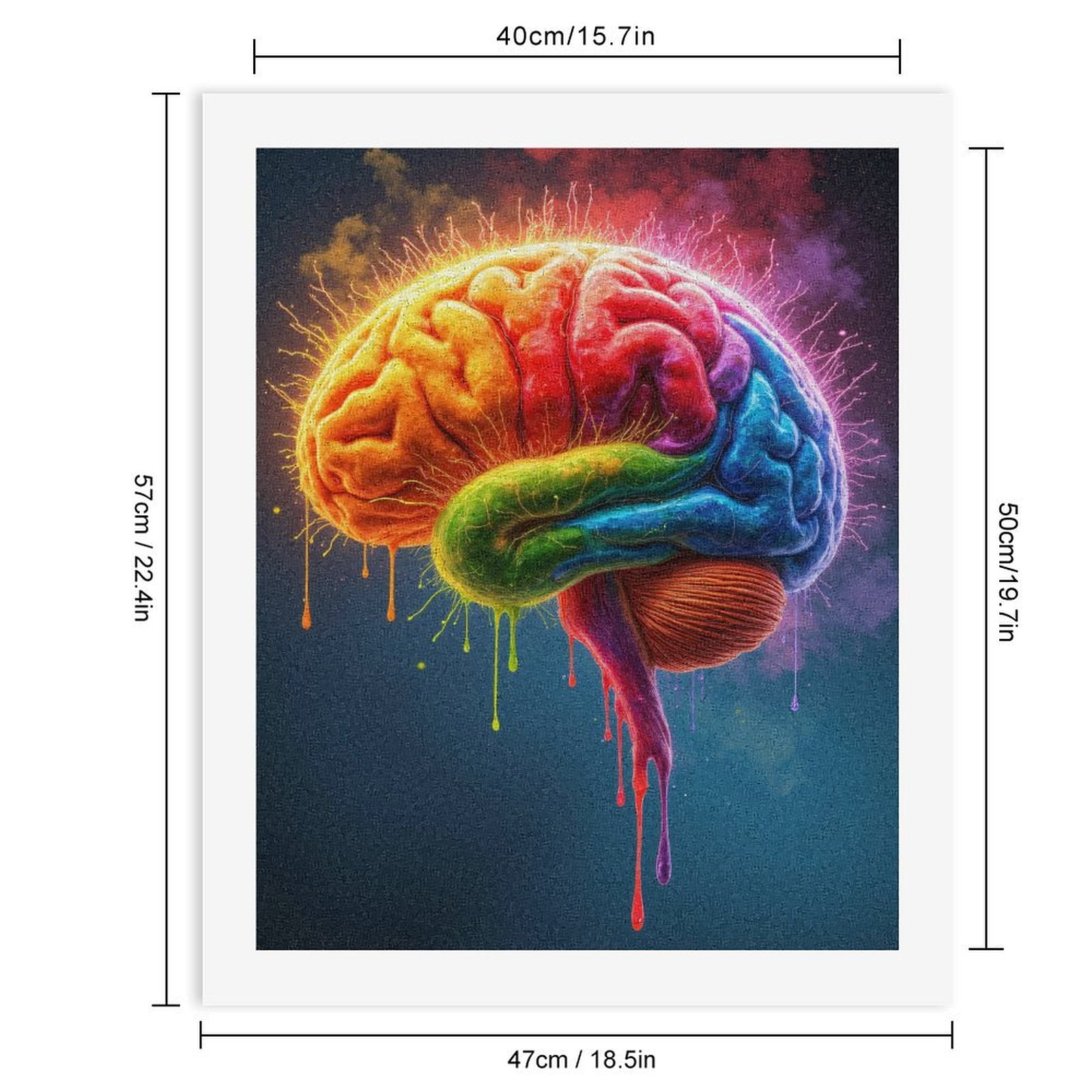 Paint by Numbers Kit for Adults, Colorful Abstract Brain Illustration Paint by Numbers, Easy Paint by Numbers Kit for Adults Beginner, DIY Adult Paint by Number Kits on Canvas, Home Decor 12x16in
