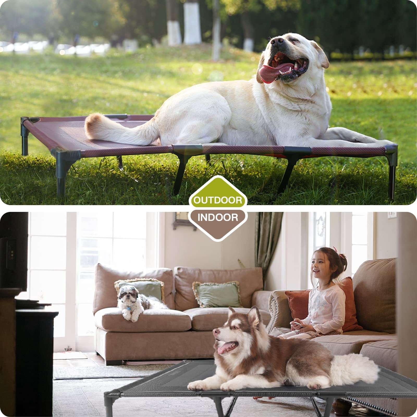Elevated Dogs Bed Waterproof Outdoor  Portable Raised Dog Beds Off The Floor Easy Clean Indoor Or Use X-large Blue
