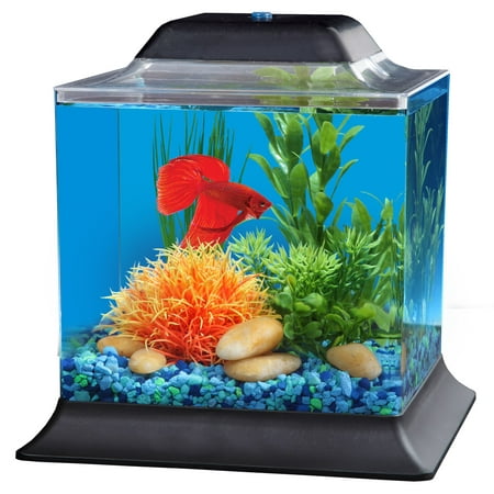 Hawkeye 1.5-Gallon Betta Fish Tank Aquarium Kit