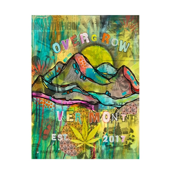 Trademark Fine Art Dean Russo Overgrow Vermont Canvas Wall Art - 35x47