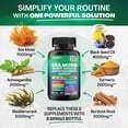 thumbnail image 6 of Zoyava Sea Moss Blend, 19,445 MG All-in-One Formula with over 15+ Super Ingredients, Extra Strength & High Potency, 6 of 11