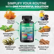 Zoyava Sea Moss Blend, 19,445 MG All-in-One Formula with over 15+ Super Ingredients, Extra Strength & High Potency