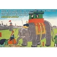 thumbnail image 1 of When you have got an elephant…- Fine Art Canvas Print (20" x 30"), 1 of 1