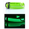 thumbnail image 2 of Collar Luz Led Para Perros Y Gatos Paseo Nocturno Pack 3 Pzs, 2 of 3