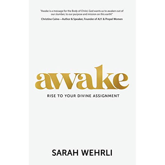 Pre-Owned Awake: Rise to Your Divine Assignment (Paperback) 1950718859 9781950718856