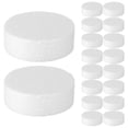 FOMIYES 30Pcs White Foam Cake Dummies Round Polystyrene Circles for ...