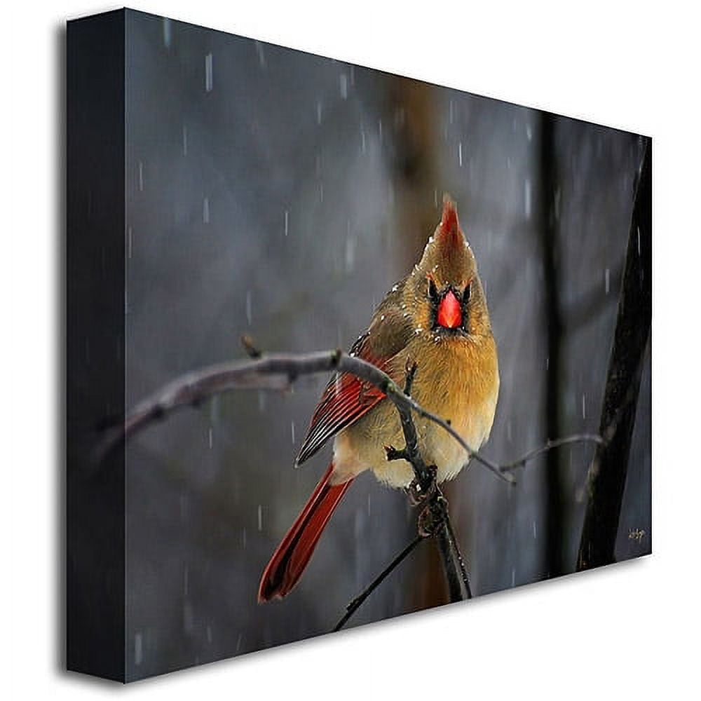 Trademark Fine Art "Snowy Cardinal" Canvas Wall Art by Lois Bryan