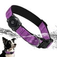 thumbnail image 1 of Collar para perro Furrigo Upgrade AirTag, impermeable, morado, 1 of 6