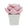 thumbnail image 2 of Northlight 4.25" Ceramic Succulent Artificial Potted Plant - Pink, 2 of 4