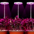 thumbnail image 4 of MesaSe Lampe de Croissance LED Étanche IP44 Hauteur Réglable Rétractable pour Plantes d'Intérieur, 4 of 6