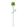 thumbnail image 1 of Zmoon Simulated Green Plant Green Carnation Green Hair Ball, 1 of 3