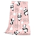 thumbnail image 3 of Bingfone Panda Flying In The Sky Between Clouds And Star Print Flannel Fleece Blanket Throw Blanket For Bed,Sofa,Couch,Travel,Camping(50"X40"), 3 of 9