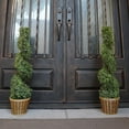 thumbnail image 3 of Admired by Nature 3' Artificial Boxwood Leave Topiary in  Basket, Set of 2, 3 of 3