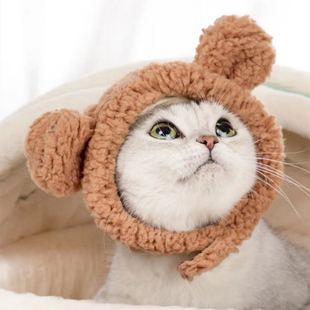 2 ropa bonita para gatos, gorro de oso cálido para gatos, gorros pequeños y suaves ajustables para mascotas, gorro de oso para gatos y perros