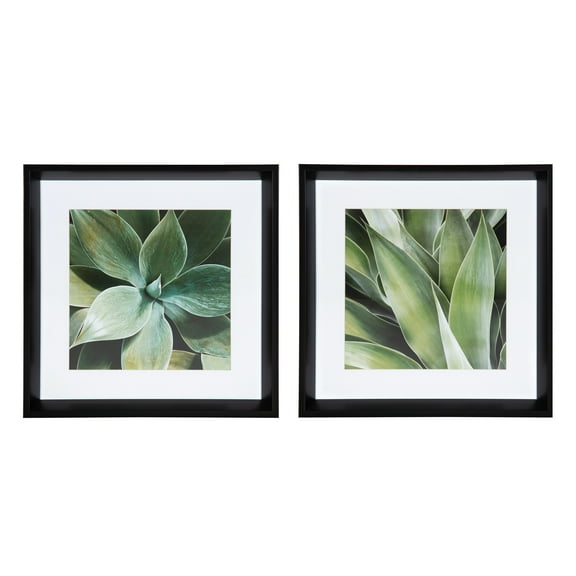 Kate and Laurel Calter Green Succulent Leaves Matted Framed Print Under Glass Art Set by Amy Peterson, 15.5x15.5-inches/each, Black