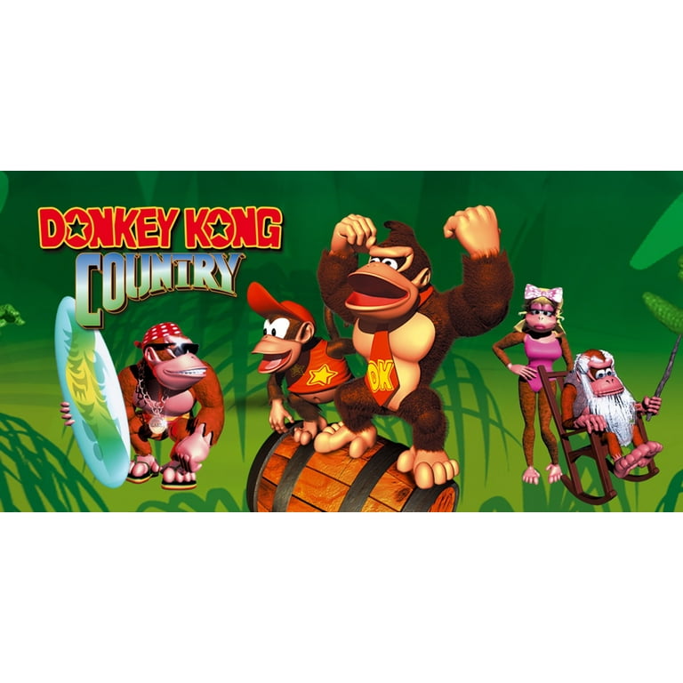 Donkey Kong Country Game Boy Advance Game Cartridge
