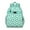 LightGreen Cartoon Dinosaurs-1, variant on LightGreen Dinosaurs Clouds Trees Pattern Backpack for School,Cute School Bag,Schoolbag with Adjustable Shoulder Straps & Padded Back,15.25"x11.5"x5.25"