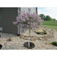 thumbnail image 6 of 3 Ea ~ 16 in, 20 in & 24 in Planting Rings. Round Edging, Deep Watering Trees, Roses & Plants, Black, 6 of 6