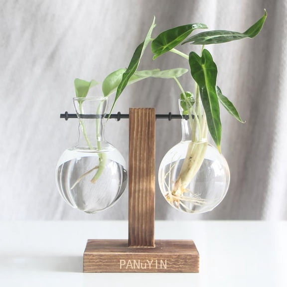 PANuYIN Modern Double Balls Desk Vase | Hydroponics Plant Glass | Terrarium Vase Container | Planter Pot with Wooden Stand