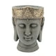 thumbnail image 1 of Macetero Benjara Cabeza de Buda durmiente 10 pulgadas gris, 1 of 2