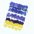 thumbnail image 4 of ZLight Pressed Flowers, Accessories. Soft Yet And Suitable For Decorating, Embellishments, Prom Decorations, Craft Vibrant Colorful 96 Film（B）, 4 of 6