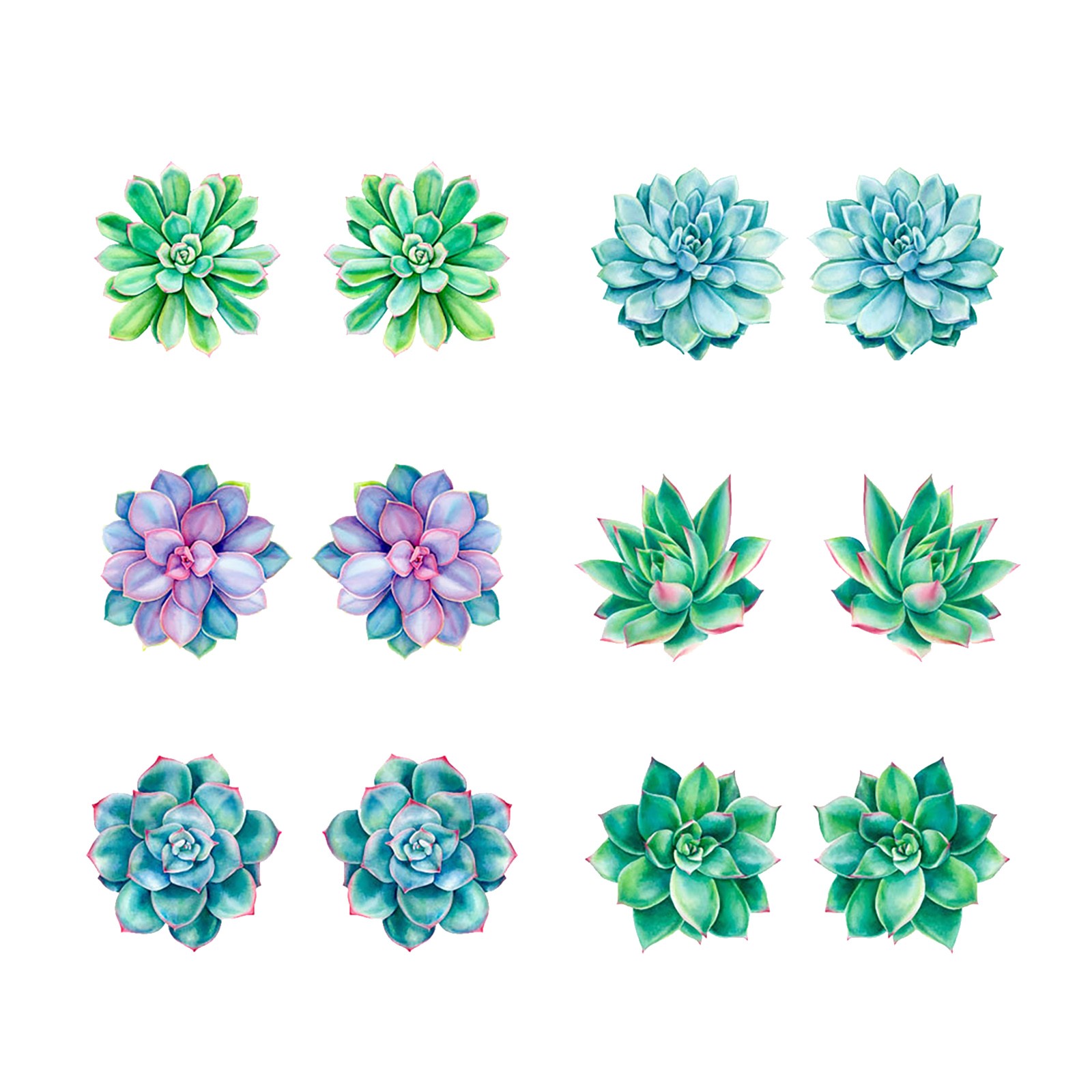 Heiheiup Succulent Green Screen Window Pair Suction Paste Screen Window