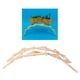 thumbnail image 2 of Kit de construcción de madera con diseño de puente Da Vinci Pathfinder, bloques de construcción, juguete para niños, 2 of 8