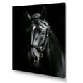 thumbnail image 2 of Designart "Black And White Horse gracefulness" Animals Canvas Art Print, 2 of 5
