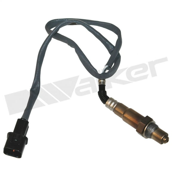 Walker Products O2 SENS 4-W TERM