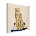 thumbnail image 2 of Trademark Fine Art 'Lady Cat IV' Canvas Art by Grace Popp, 2 of 4