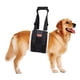 thumbnail image 1 of Arnés de elevación para perro PICK FOR LIFE 4 a 150 libras correa ajustable soporte de elevación, 1 of 5
