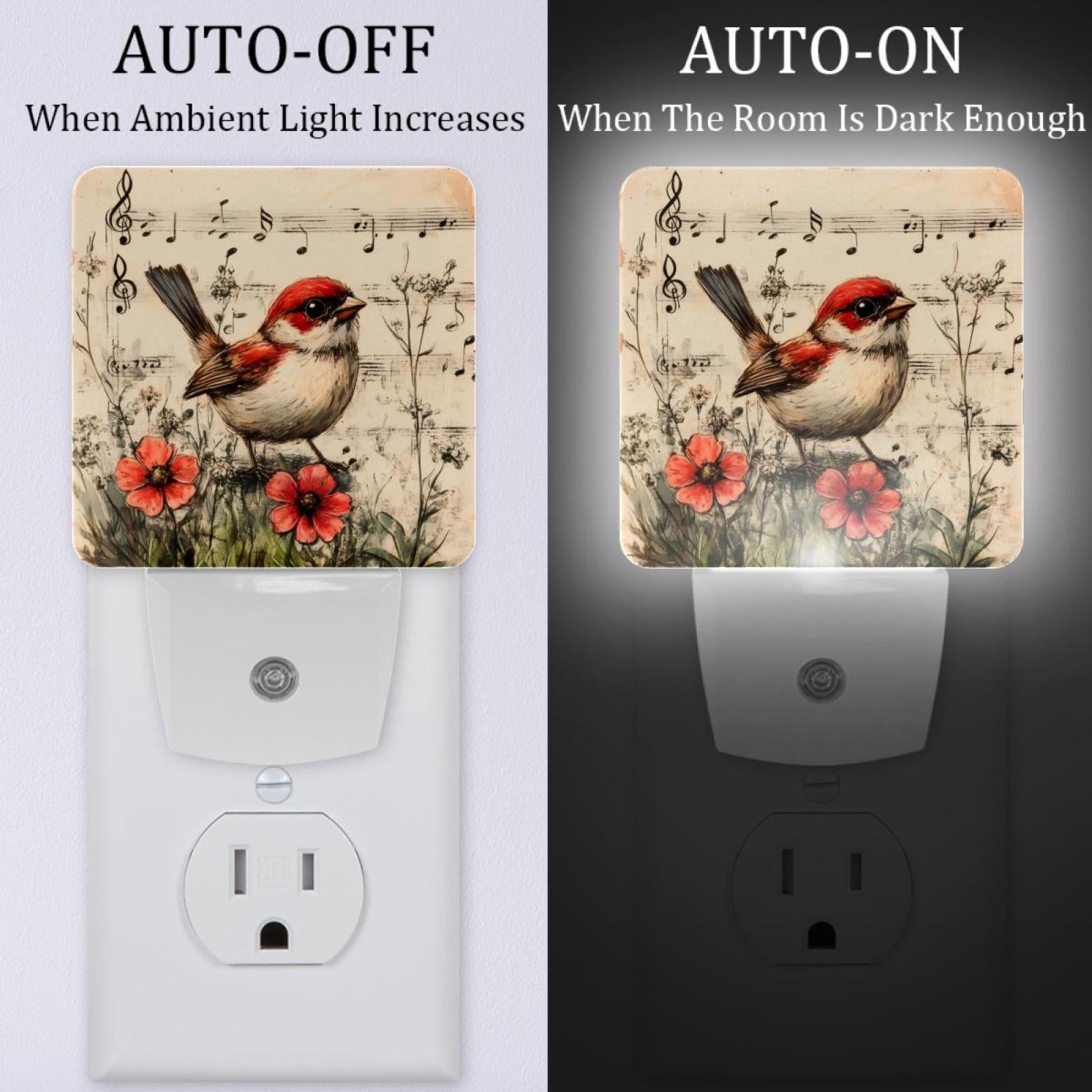 PhooArto Retro Bird and Flower Music Plug in LED Night Light Auto Sensor Dusk to Dawn Decorative Night for Bedroom, Bathroom, Kitchen, Hallway, Stairs, Baby's Room, Energy Saving