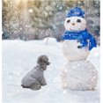 thumbnail image 5 of Pull pour Animaux, Chandails en Molleton pour Chiens, Pull à Col Roulé en Tricot pour Chiens (Gris L), 5 of 5