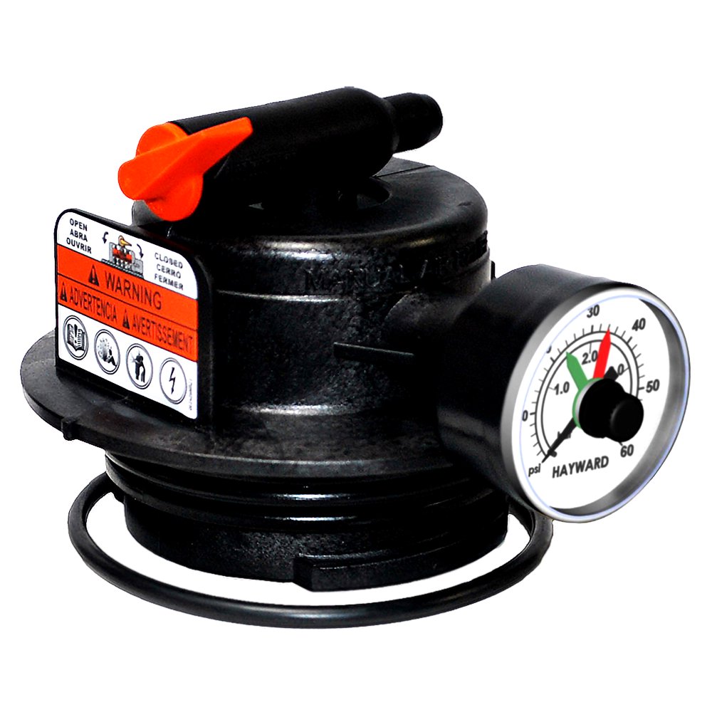 Hayward DEX2420MAR2 DE and Cartridge Filter Manual Air Relief Assembly