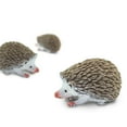 thumbnail image 2 of Safari Hedgehogs New, 2 of 3
