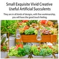 thumbnail image 5 of thinsony 10x artificial Succulents Small Vivid Useful Simulated Plants Multi-functional Lifelike Photo Props for Household Yards Lawn Flowerpot Type 11, 5 of 5