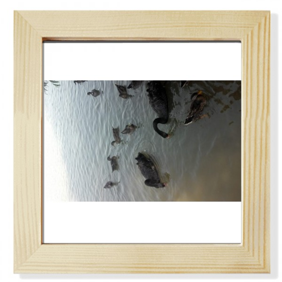 Group Of Black Swan Art Deco Fashion Square Picture Frame Wall Tabletop Display