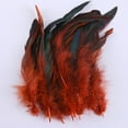 thumbnail image 6 of HOMYL 50 Pieces Feathers for Crafts Chicken Feather for Party Wedding Arrangements Coffee, 6 of 8