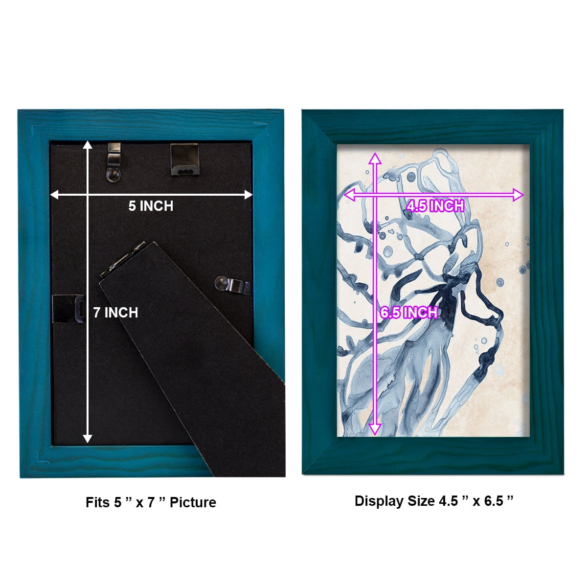 Water Shells I - Framed Print w/glass - Ocean Blue