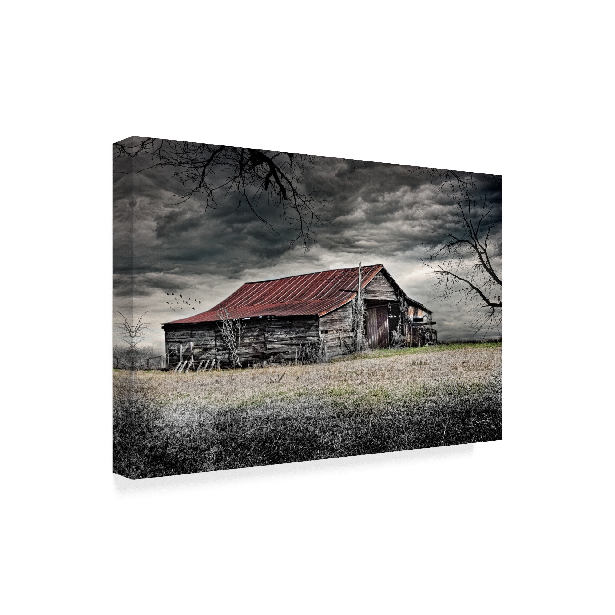 Trademark Fine Art 'Storm Barn' Canvas Art by Barbara Simmons