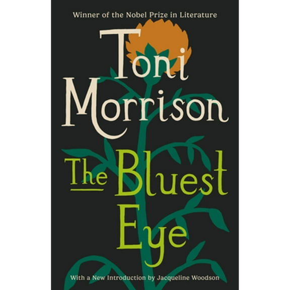 Pre-Owned The Bluest Eye, by Toni Morrison (Vintage International), Literature & Fiction, English