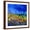 Brown Frame, variant on Art.com Blue Cornflowers 7741 Art Print by Pol Ledent, 24" x 24"